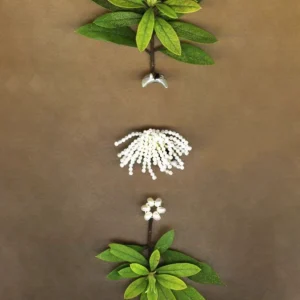 And Luxurious White Moon Tassel Earrings