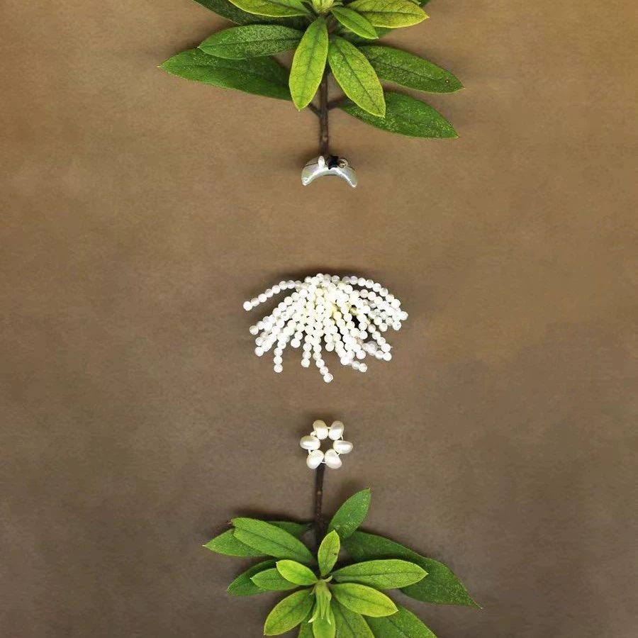 And Luxurious White Moon Tassel Earrings