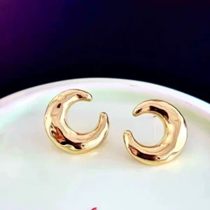 European And American Simple Ins Earrings